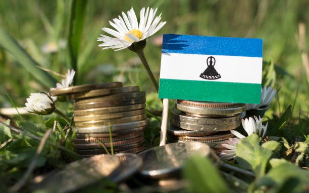 Lesotho flag with stack of money coins
