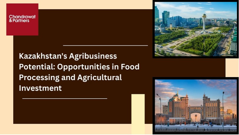 Kazakhstan’s Agribusiness Potential: Opportunities in Food Processing and Agricultural Investment