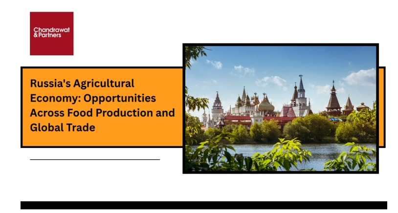 Russia’s Agricultural Economy: Opportunities Across Food Production and Global Trade
