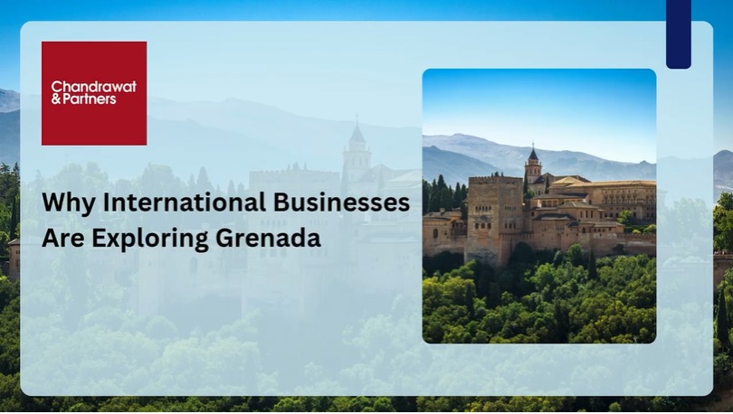WHY INTERNATIONAL BUSINESSES ARE EXPLORING GRENADA