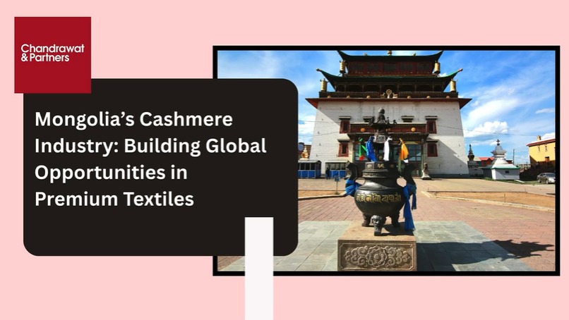 Mongolia’s Cashmere Industry: Building Global Opportunities in Premium Textiles