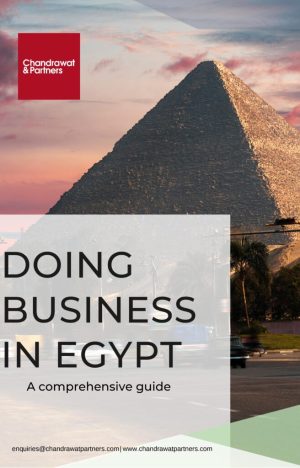 Doing-Business-In-Egypt.-1-723x1024