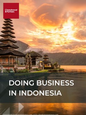 Doing-Business-in-Indonesia.-1-723x1024