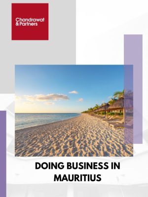 Doing-Business-in-Mauritius-1-723x1024