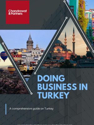 Doing-Business-in-Turkey.-1-723x1024