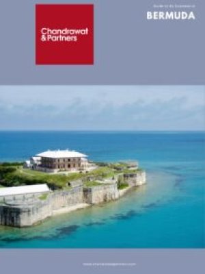 Guide-to-Doing-Business-in-Bermuda-1-212x300